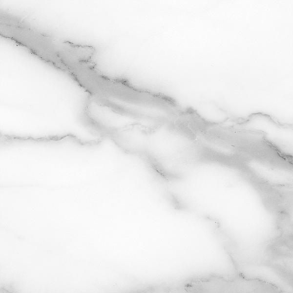 Marvelle Satuario White 13x13 Matte Ceramic Tile in White, View 2, open zoomed image