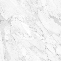 Luminere Statuarietto White 24x24 Matte Porcelain Tile
