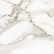 Luminere Calacatta Paonazzo White 24x24 Matte Porcelain Tile