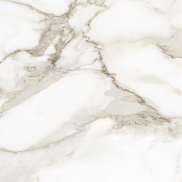 Luminere Calacatta Paonazzo White 24x24 Matte Porcelain Tile