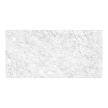 Luminere Carrara Gioia White 24x48 Matte Porcelain Tile