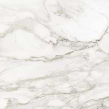 Luminere Calacatta Paonazzo White 32x32 Polished Porcelain Tile