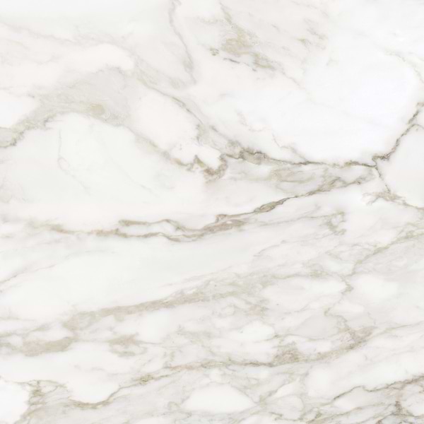 Luminere Calacatta Paonazzo White 32x32 Polished Porcelain Tile