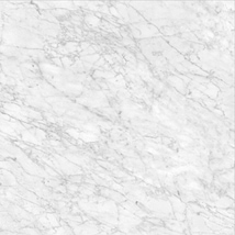 Luminere Carrara Gioia White 32x32 Matte Porcelain Tile