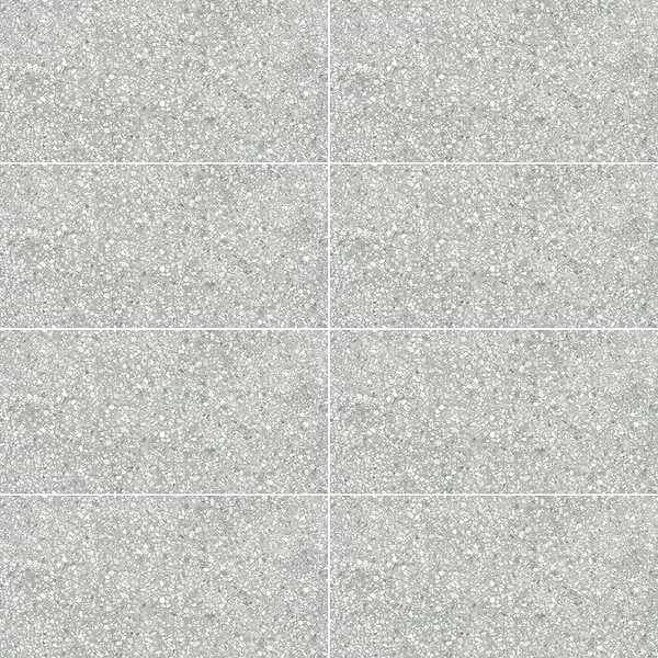 Aggretto Ash Gray 12x24 Matte Porcelain Tile in Gray, View 1