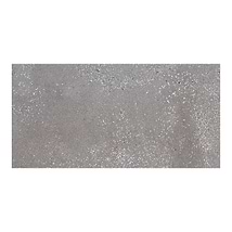 Arena Steel Gray 12x24 Matte Porcelain Tile