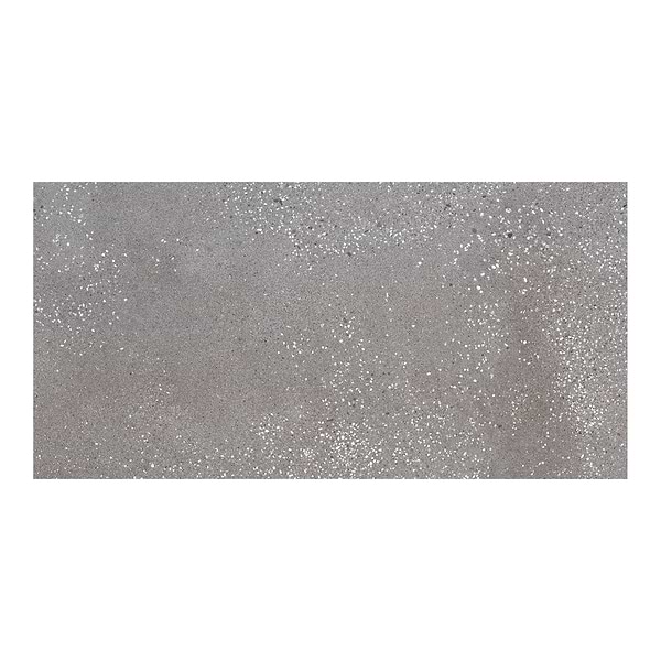 Arena Steel Gray 12x24 Matte Porcelain Tile in Gray, View 2, open zoomed image