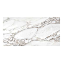 Epoch Renoir White 12x24 Matte Porcelain Tile