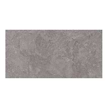 Relic Ash Gray 12x24 Polished Porcelain Tile