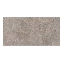 Relic Fendi Brown 12x24 Polished Porcelain Tile