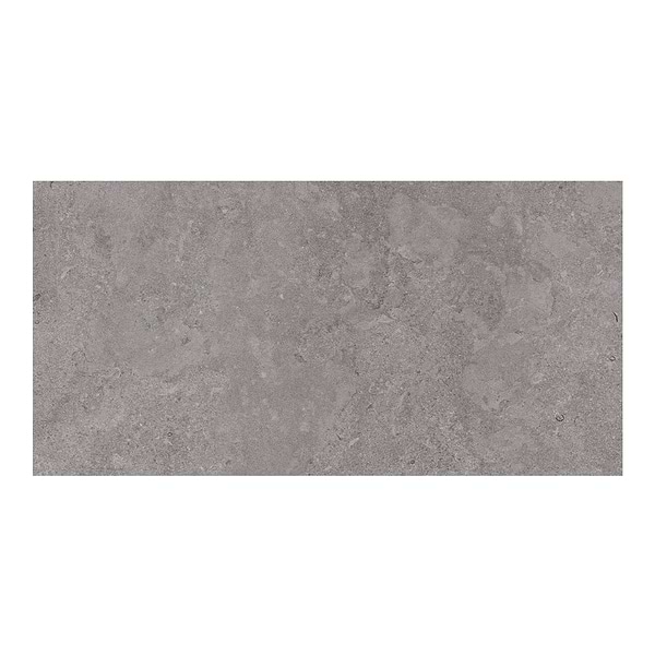 Relic Ash Gray 24x48 Matte Porcelain Tile