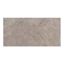 Relic Fendi Brown 24x48 Matte Porcelain Tile