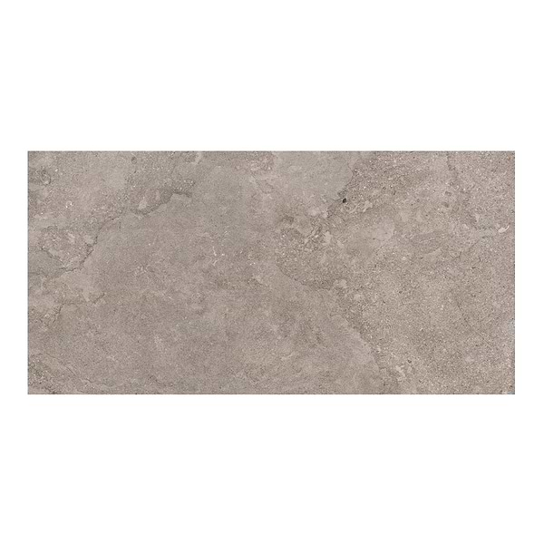 Relic Fendi Brown 24x48 Matte Porcelain Tile