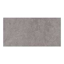Relic Ash Gray 24x48 Polished Porcelain Tile