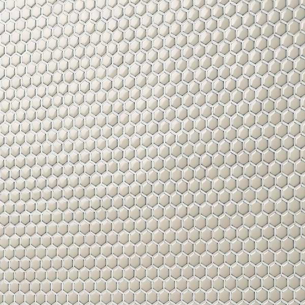 Eden Latte Beige Rimmed 1" Hexagon Polished Porcelain Mosaic