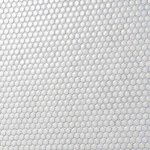 Eden Winter White Rimmed 1" Hexagon Polished Porcelain Mosaic