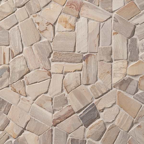 Fossil 10" Hexagon Petrified Stone Mosaic