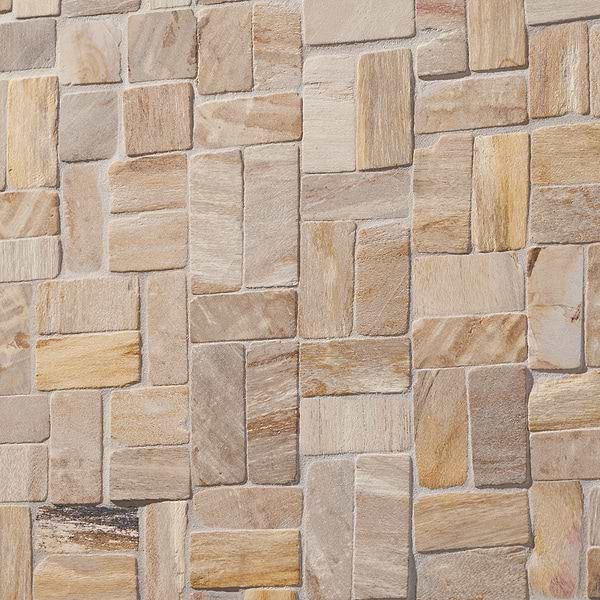 Fossil Antique Petrified Stone Mosaic