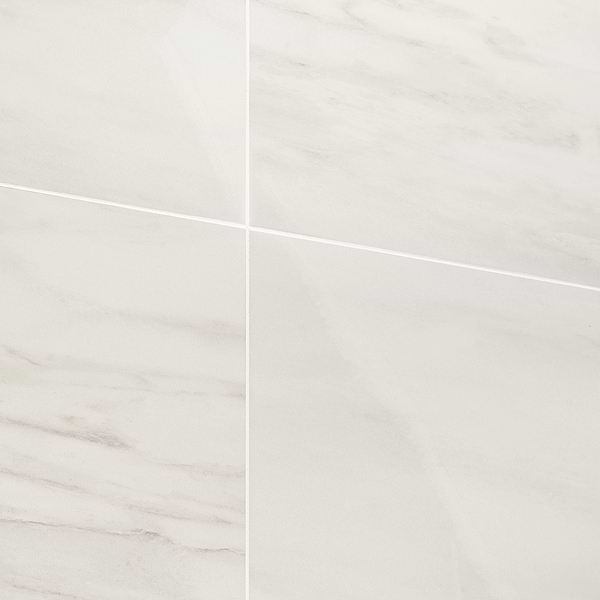 DreamStone Dolomite Snow 24x24 Polished Porcelain Tile
