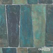 Opera Terracotta by Paula Purroy Lagoon 6x18 Trapezoid Matte Terracotta Tile