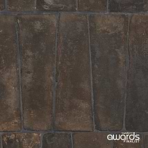 Opera Terracotta by Paula Purroy Volcano 6x18 Trapezoid Matte Terracotta Tile