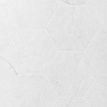 Bianco Carrara 10" Hexagon Honed Marble Tile