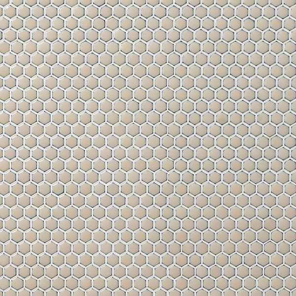 Eden Latte Beige Rimmed 1" Hexagon Polished Porcelain Mosaic