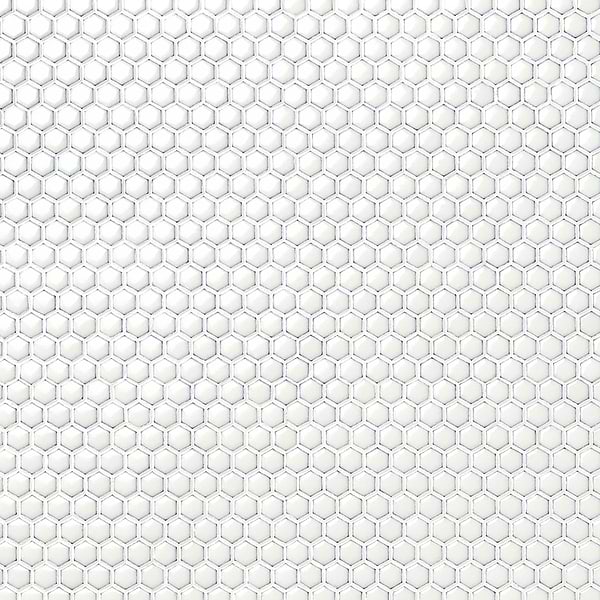 Eden Winter White Rimmed 1" Hexagon Polished Porcelain Mosaic