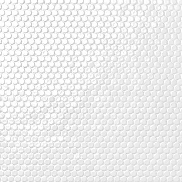 Eden White 1" Penny Round Polished Porcelain Mosaic