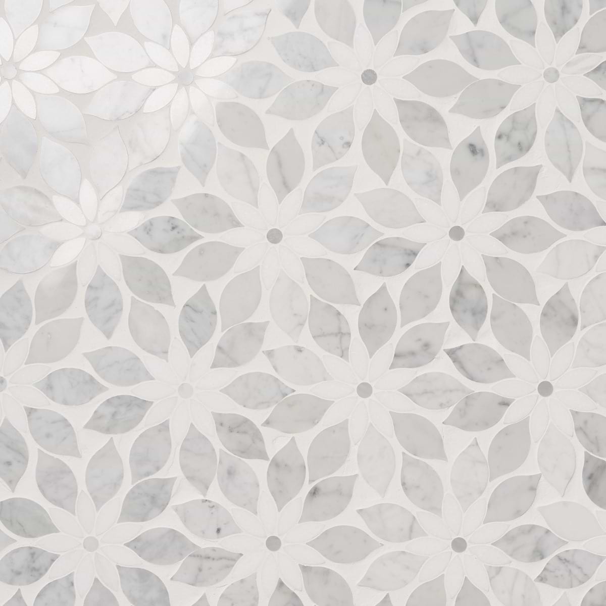 Sample-Wildflower Thassos and Bianco Carrara Marble Polished