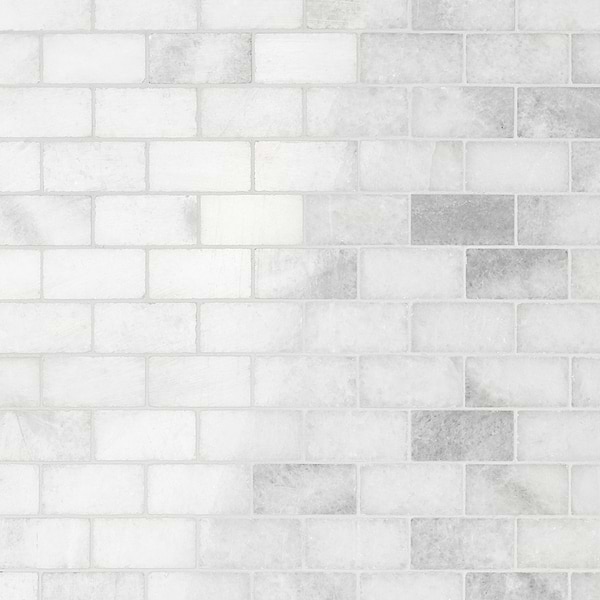 Biarritz White 1x2 Polished Marble Mosaic