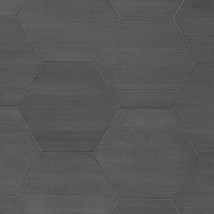 Pietra Basalt Black 10" Hexagon Textured Basalt Tile