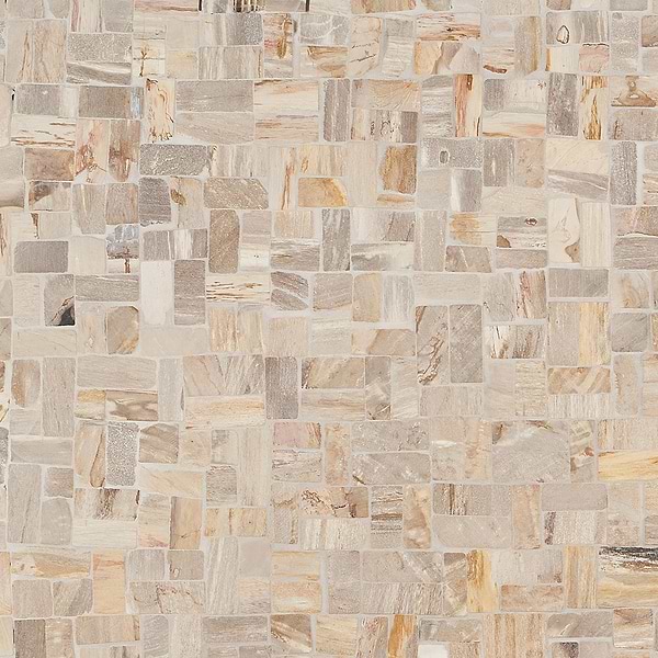 Fossil Antique Petrified Stone Mosaic