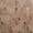 Parma Cruz Cotto Brown 5x8 Terracotta Look Matte Porcelain Tile