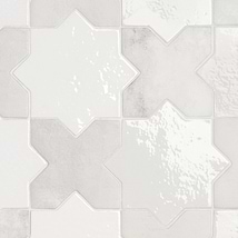 Parma White Polished Star and White Matte Cross 6" Terracotta Look Porcelain Tile