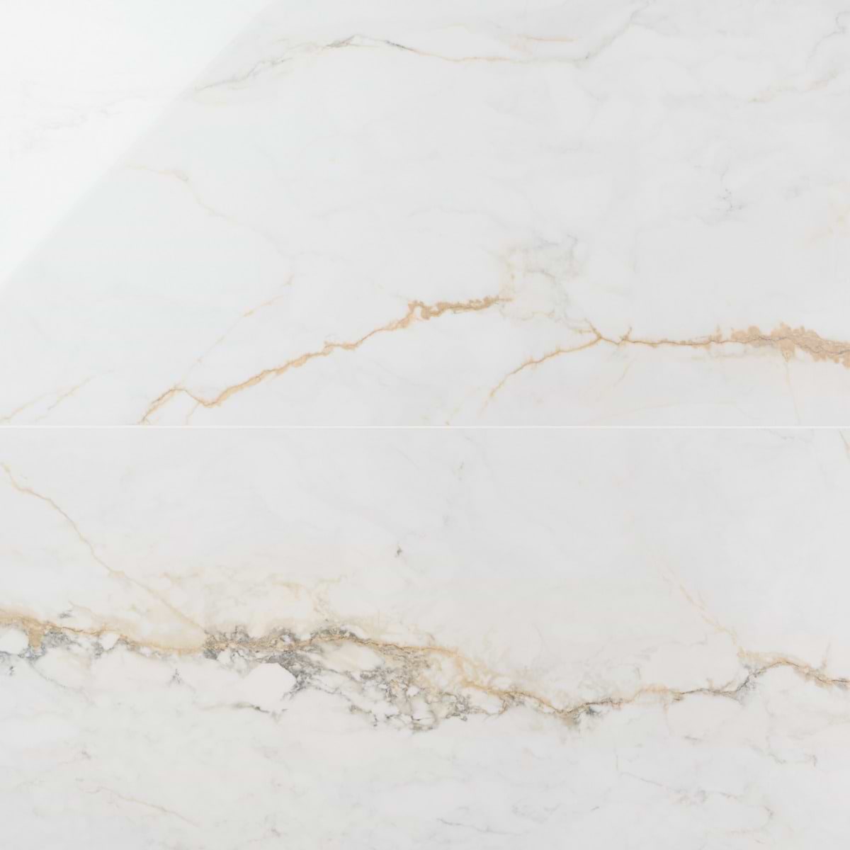 Calacatta Macchia White Gold 24x48 Marble Look Polished Porcelain Tile