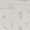 Versilia Calacatta Oro White 3x12 Polished Porcelain Subway Tile