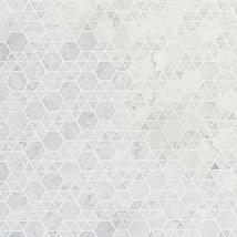 Aspekt Bianco Carrara 2" Hexagon Honed Marble Mosaic Tile