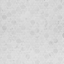 Aspekt Bianco Carrara 2" Hexagon Honed Marble Mosaic Tile