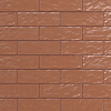Montauk Terracotta 2x8 Mixed Finish Ceramic Subway Tile