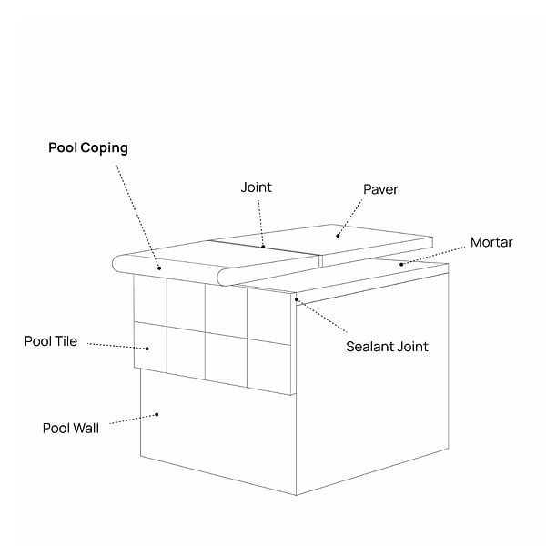 ZenTech Graphite Gray 12x24 Matte Porcelain 2CM Pool Coping