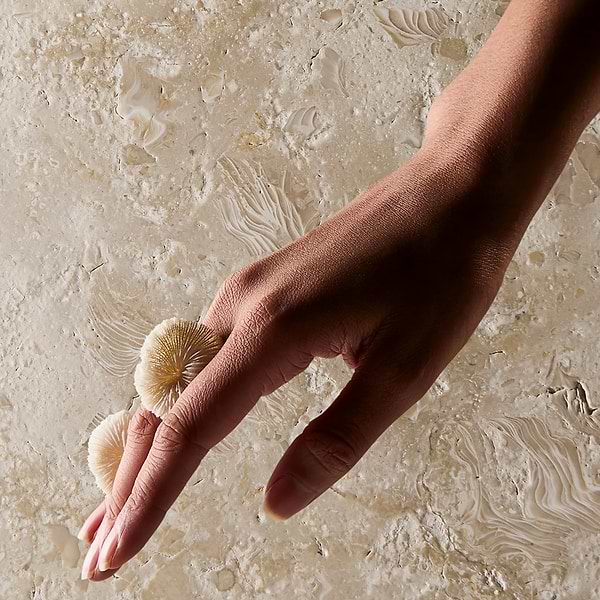 Ocean Reef Beige 16x24 Brushed Limestone 5CM Pool Coping