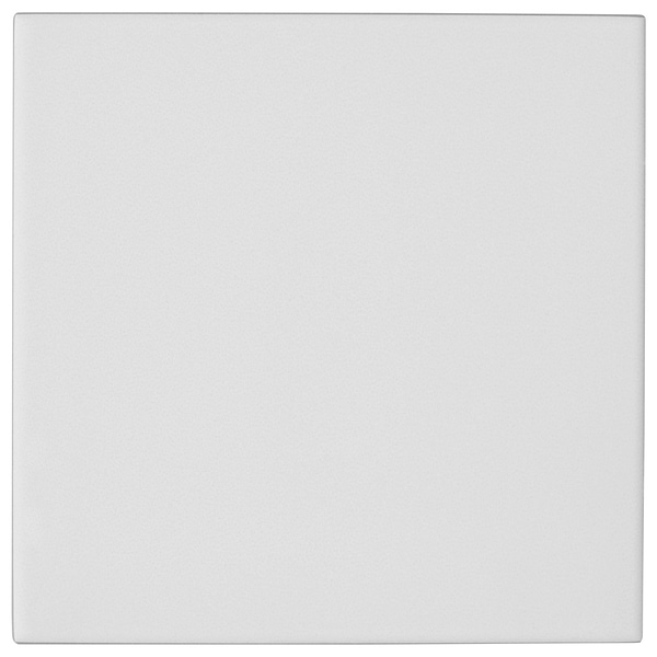 Born White 5x5 Matte Porcelain Tile