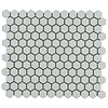 Eden Antiguan Sky Gray Rimmed 1" Hexagon Polished Porcelain Mosaic
