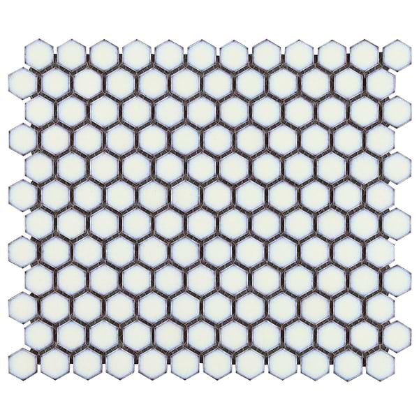 Eden Winter White Rimmed 1" Hexagon Polished Porcelain Mosaic