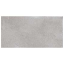 Essence Silver Gray 24x48" Matte Porcelain Tile
