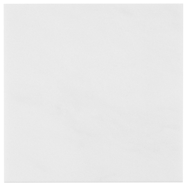 White Thassos 12x12 Polished Marble Tile