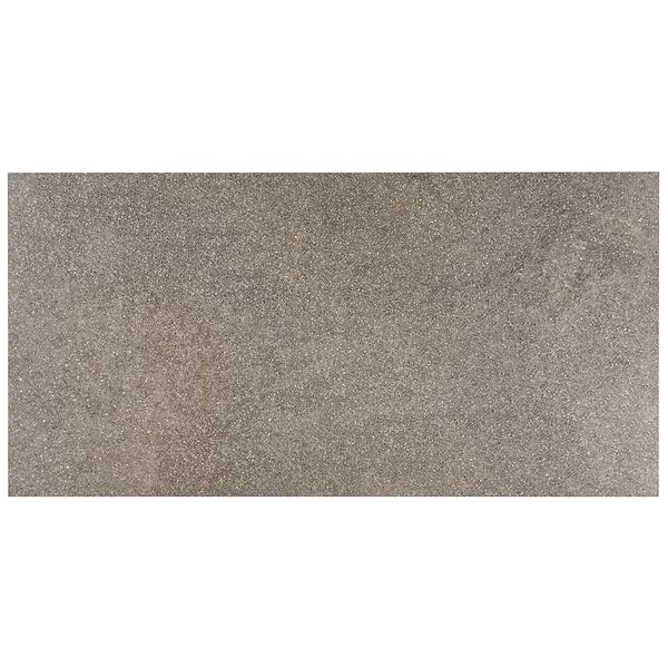 FusionTech Berlin Brown 24x48 Matte Porcelain Tile