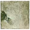 Angela Harris Dunmore Green 8x8 Ceramic Tile
