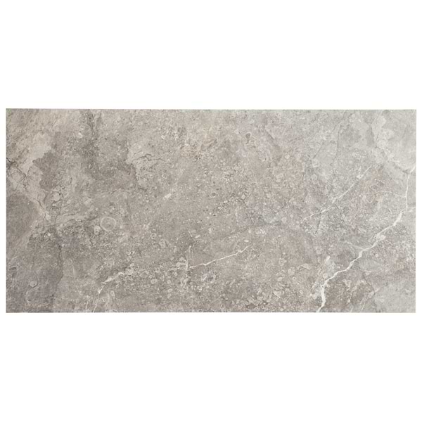Thor Fossil Gray 12x24 Matte Porcelain Tile